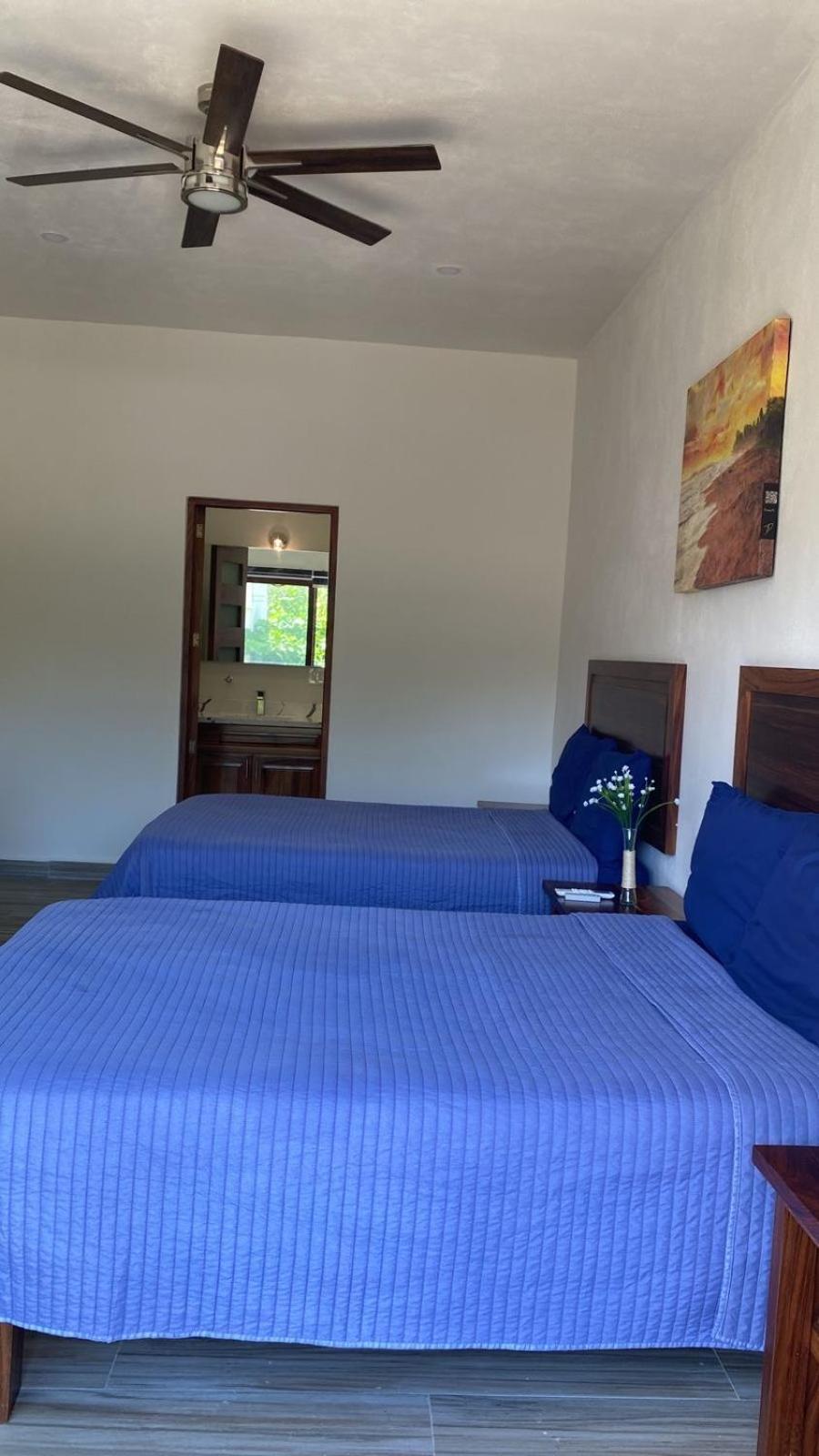 San Pancho Bungalows サン・フランシスコ エクステリア 写真