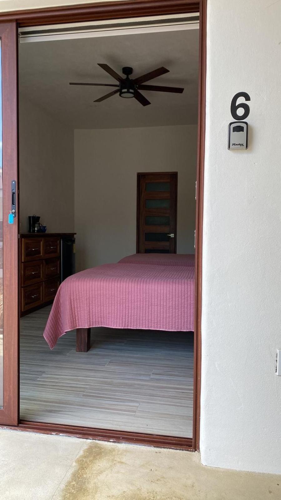 San Pancho Bungalows サン・フランシスコ エクステリア 写真